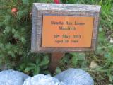 image of grave number 542769